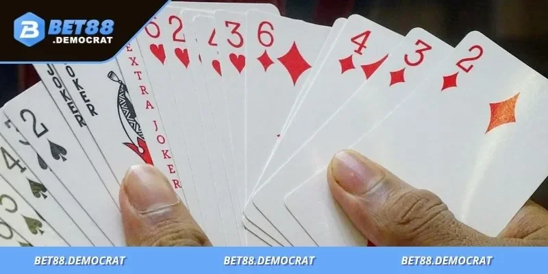 Bài phỏm là gì? Phỏm mang nét văn hóa Việt, lôi cuốn và đầy chiến thuật