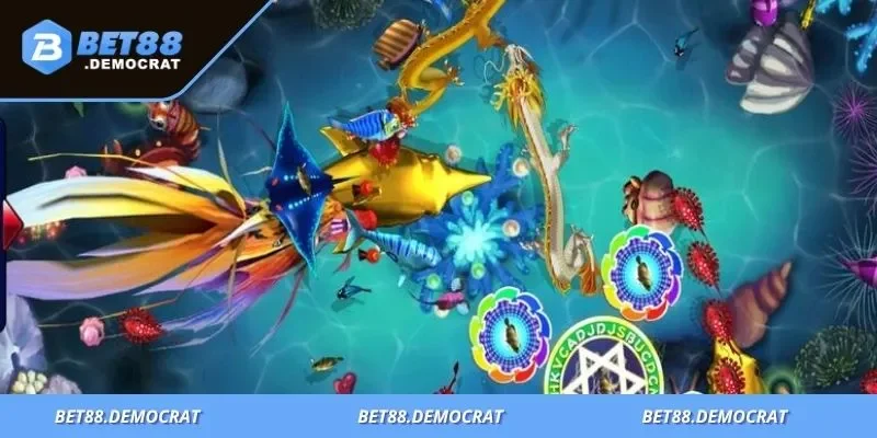 Khám phá dàn cá độc lạ, giá trị thưởng cao, chinh phục mọi thợ săn