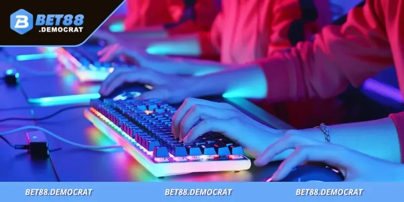 Người mới nên bắt đầu cá cược theo từng bước rõ ràng